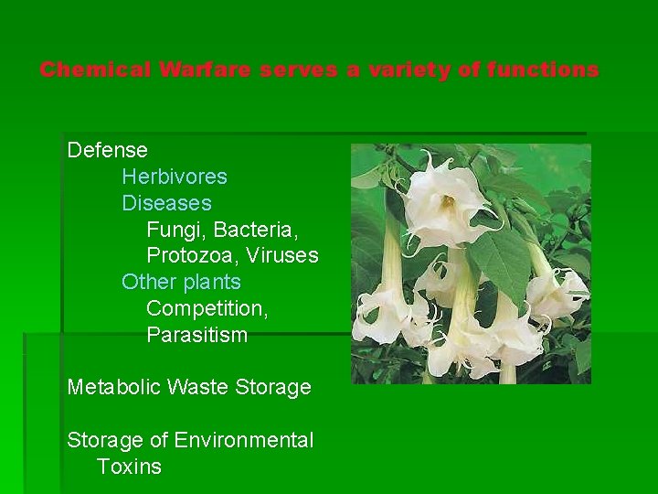 Chemical Warfare serves a variety of functions Defense Herbivores Diseases Fungi, Bacteria, Protozoa, Viruses