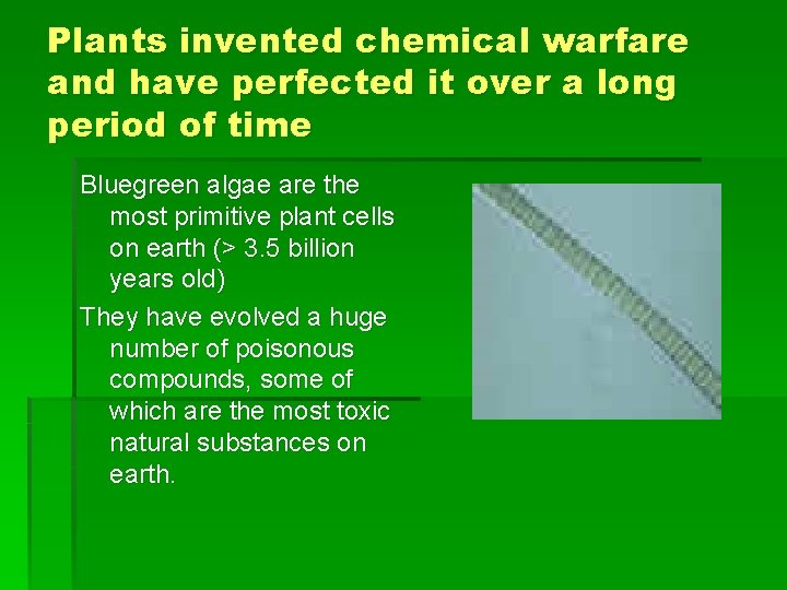 Plants invented chemical warfare and have perfected it over a long period of time