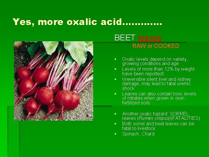 Yes, more oxalic acid…………. BEET leaves RAW or COOKED § § § § Oxalic