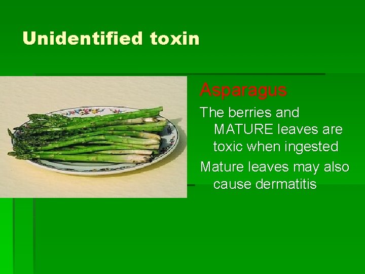 Unidentified toxin Asparagus The berries and MATURE leaves are toxic when ingested Mature leaves