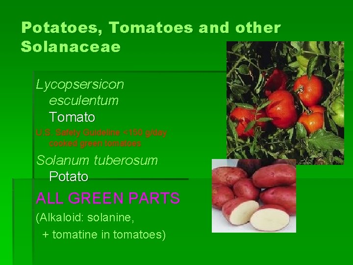 Potatoes, Tomatoes and other Solanaceae Lycopsersicon esculentum Tomato U. S. Safety Guideline <150 g/day