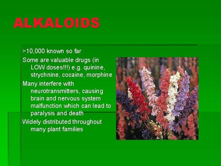 ALKALOIDS >10, 000 known so far Some are valuable drugs (in LOW doses!!!) e.