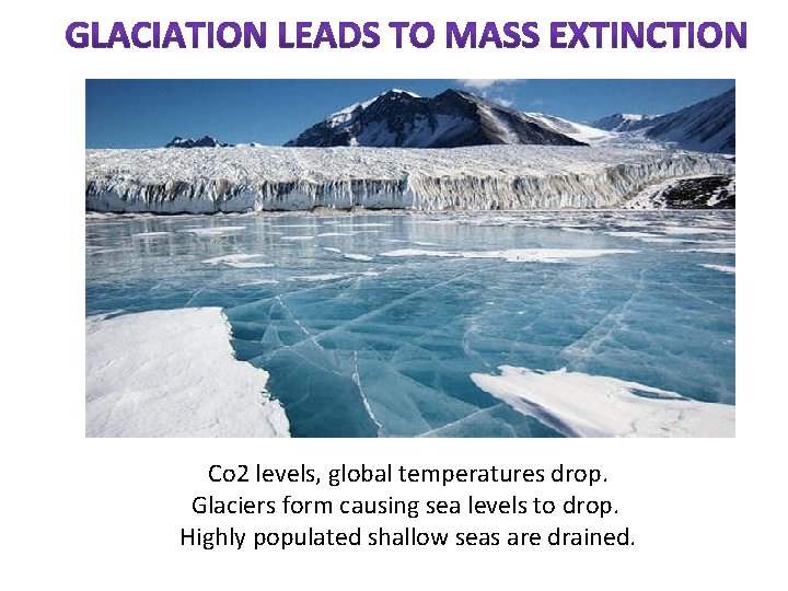 Co 2 levels, global temperatures drop. Glaciers form causing sea levels to drop. Highly