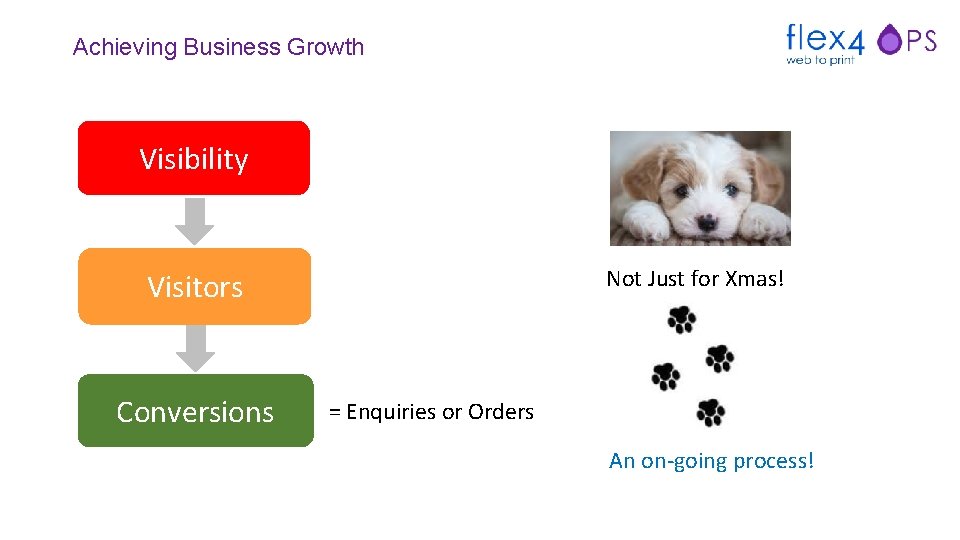 Achieving Business Growth Visibility Not Just for Xmas! Visitors Conversions = Enquiries or Orders