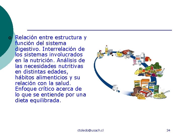 ¡ Relación entre estructura y función del sistema digestivo. Interrelación de los sistemas involucrados