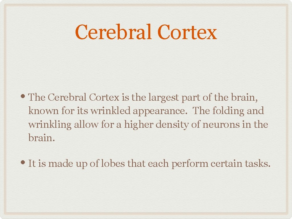Cerebral Cortex • The Cerebral Cortex is the largest part of the brain, known