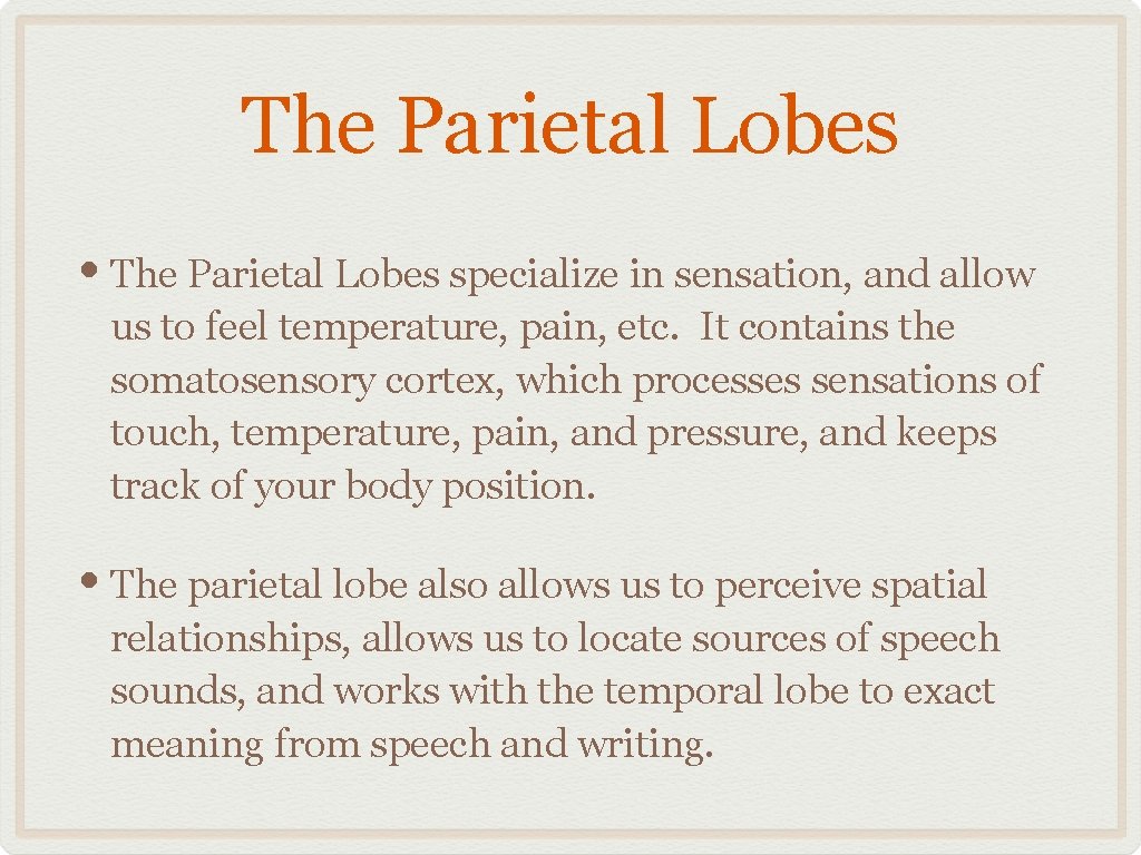 The Parietal Lobes • The Parietal Lobes specialize in sensation, and allow us to