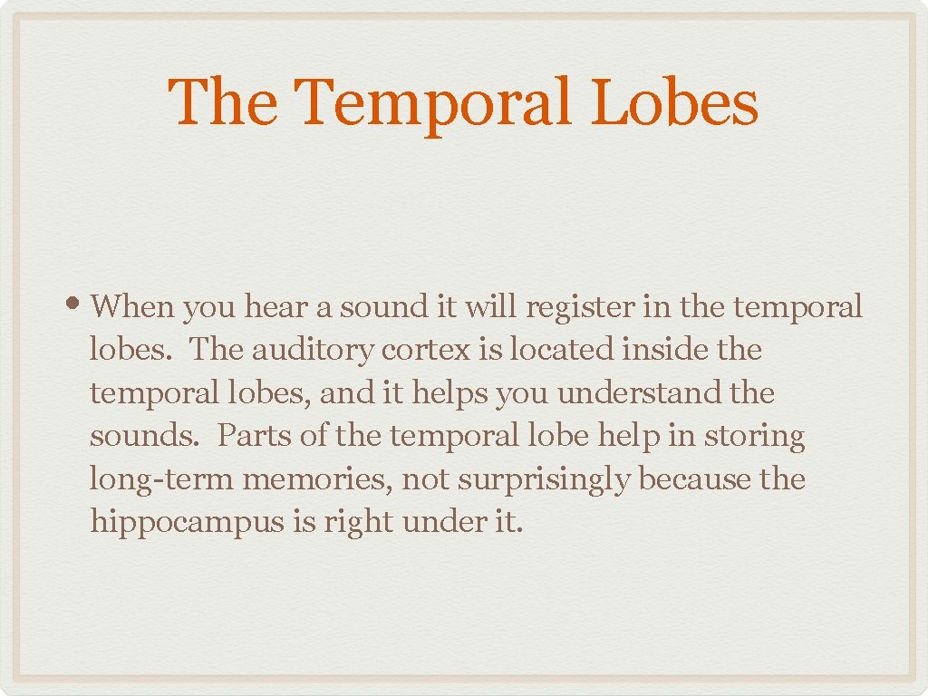 The Temporal Lobes • When you hear a sound it will register in the