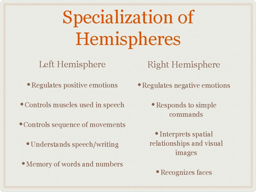 Specialization of Hemispheres Left Hemisphere Right Hemisphere • Regulates positive emotions • Regulates negative