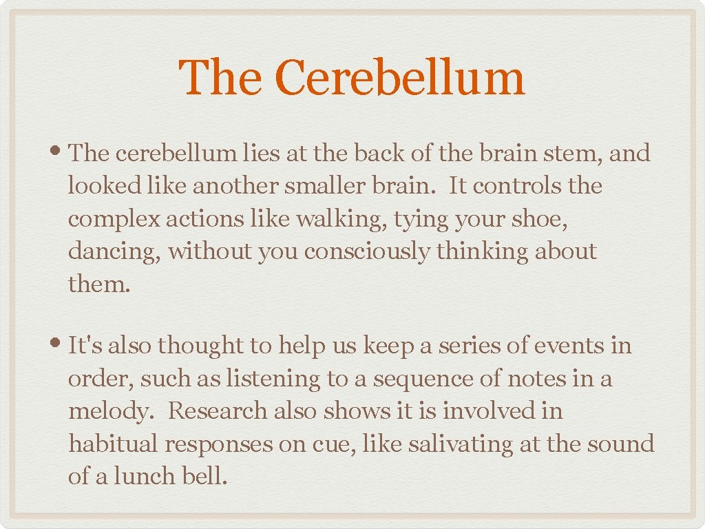 The Cerebellum • The cerebellum lies at the back of the brain stem, and