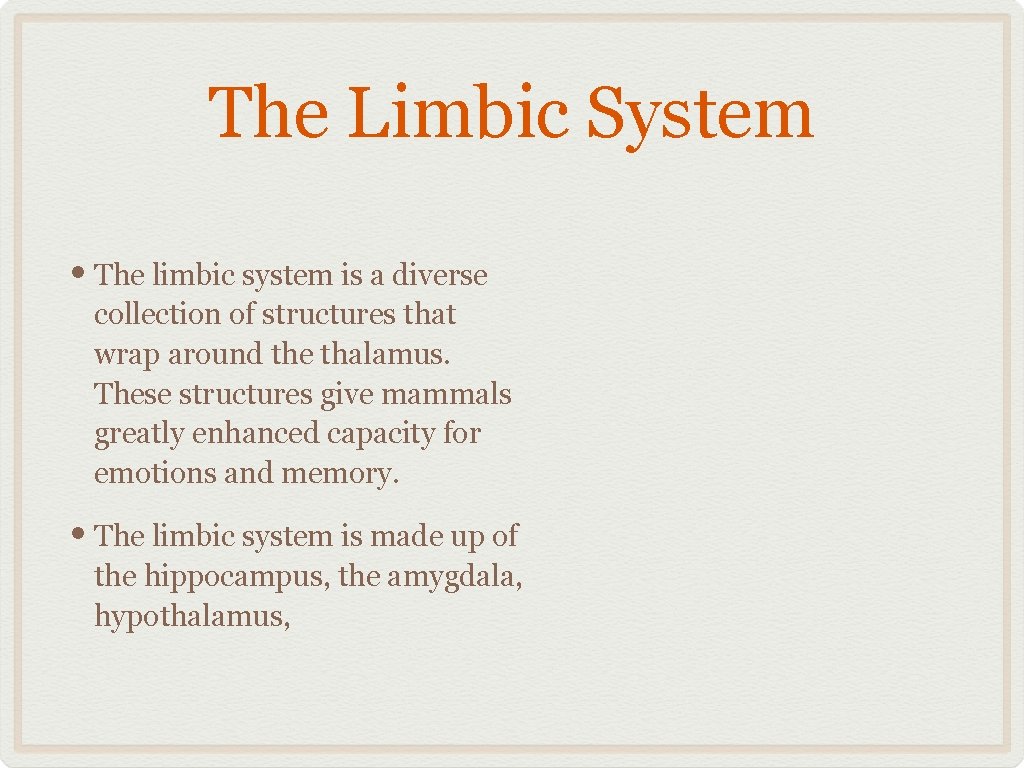 The Limbic System • The limbic system is a diverse collection of structures that