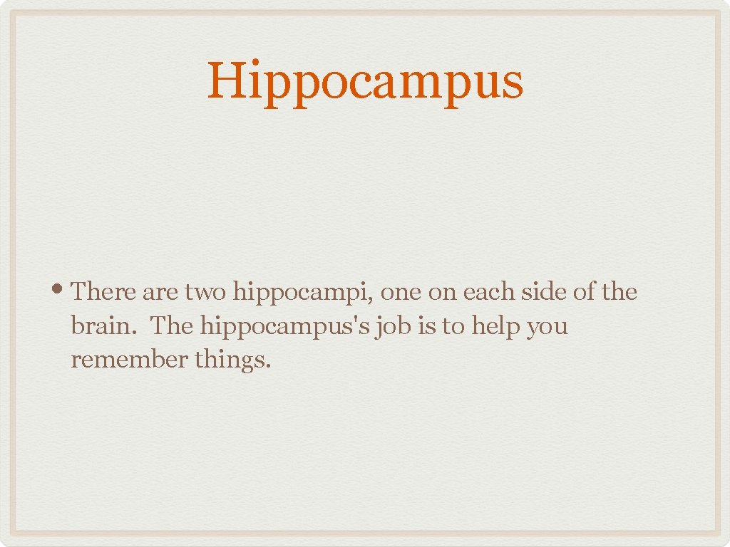 Hippocampus • There are two hippocampi, one on each side of the brain. The