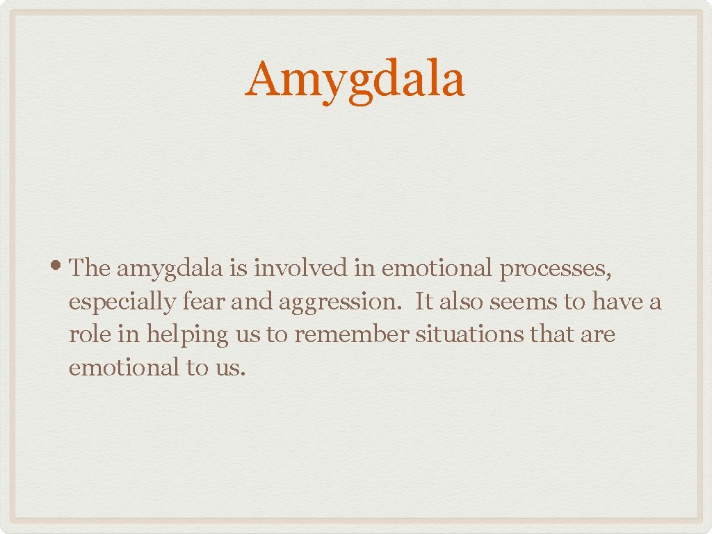 Amygdala • The amygdala is involved in emotional processes, especially fear and aggression. It