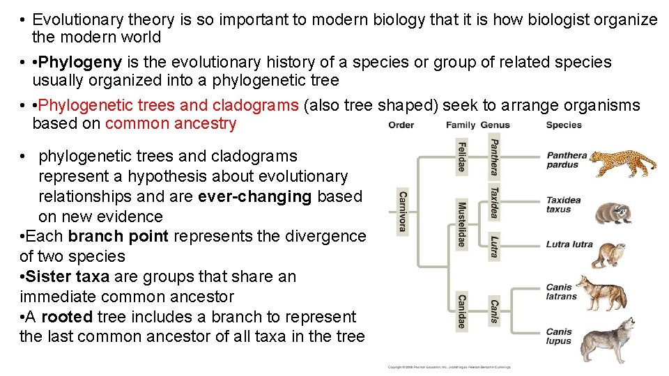  • Evolutionary theory is so important to modern biology that it is how