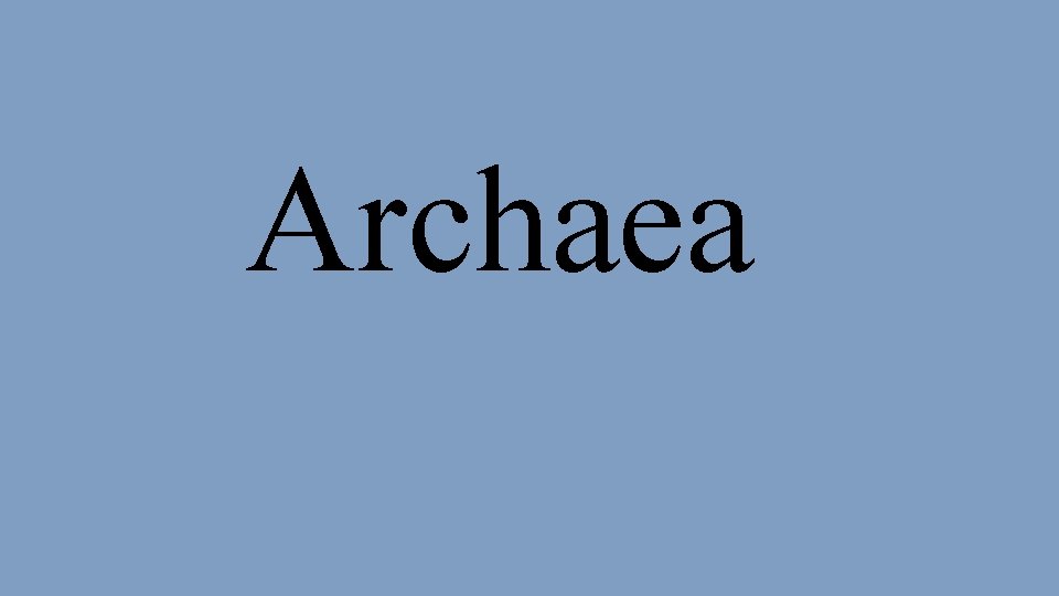 Archaea 