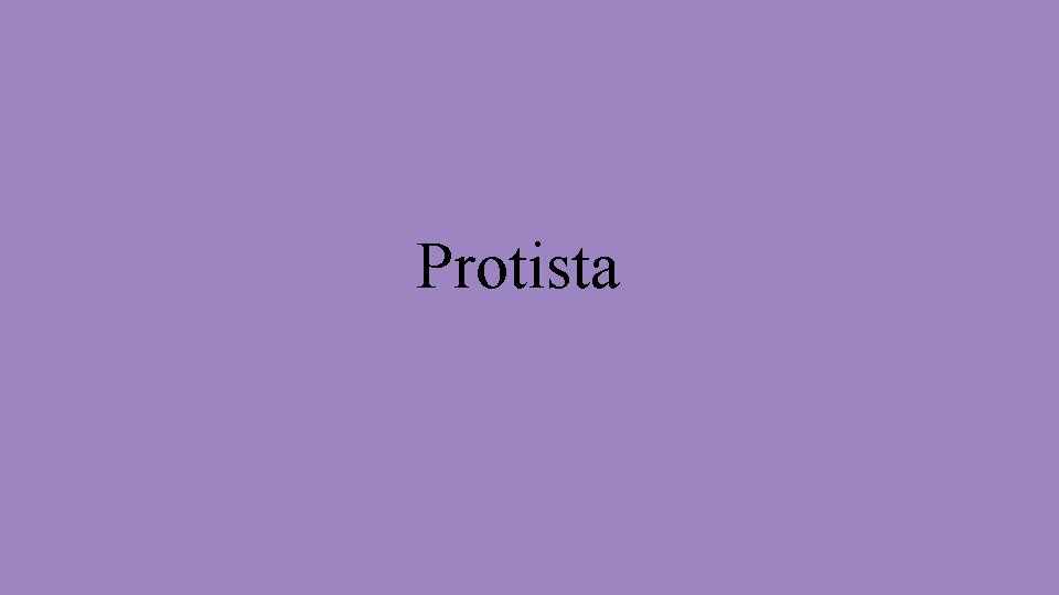 Protista 
