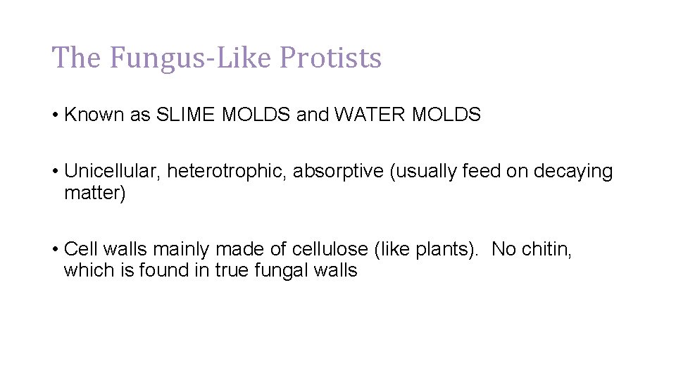 The Fungus-Like Protists • Known as SLIME MOLDS and WATER MOLDS • Unicellular, heterotrophic,