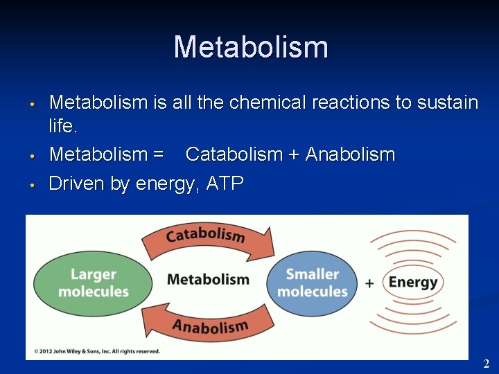 Metabolism • • • Metabolism is all the chemical reactions to sustain life. Metabolism