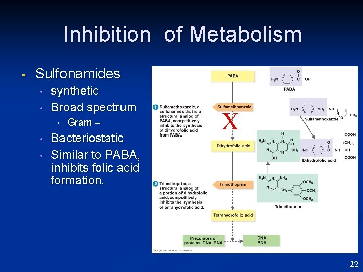 Inhibition of Metabolism • Sulfonamides • • synthetic Broad spectrum • • • Gram