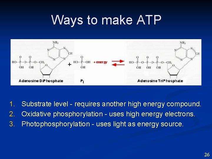 Ways to make ATP 1. Substrate level - requires another high energy compound. 2.