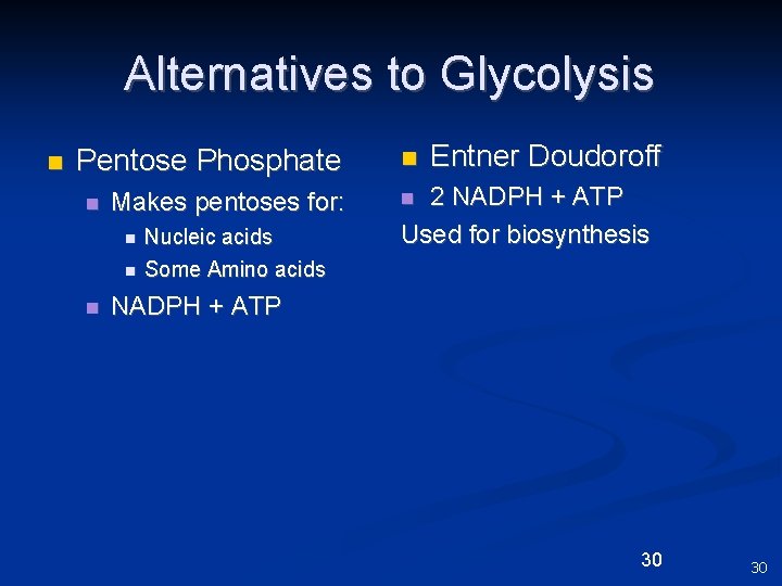 Alternatives to Glycolysis n Pentose Phosphate n Makes pentoses for: n n n Nucleic