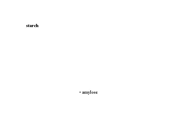 starch • amylose • amylopectin • dextrins 