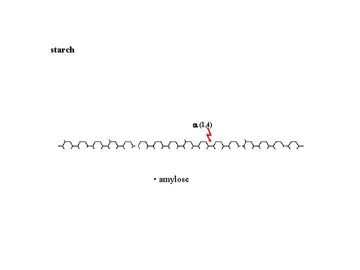 starch (1, 4) • amylose • amylopectin • dextrins 