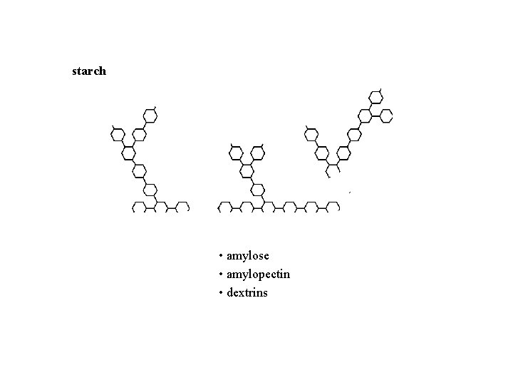 starch • amylose • amylopectin • dextrins 