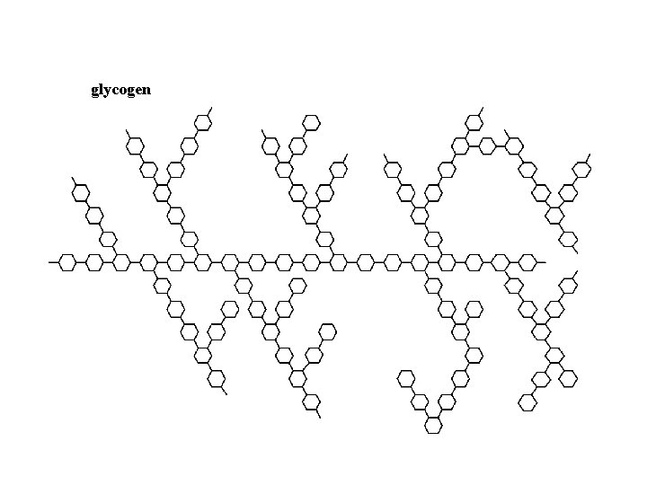 glycogen 