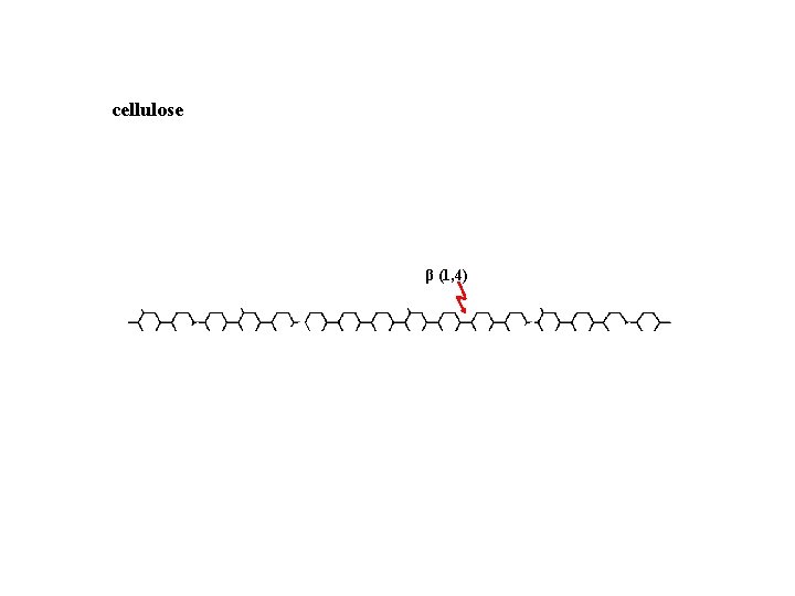 cellulose β (1, 4) 