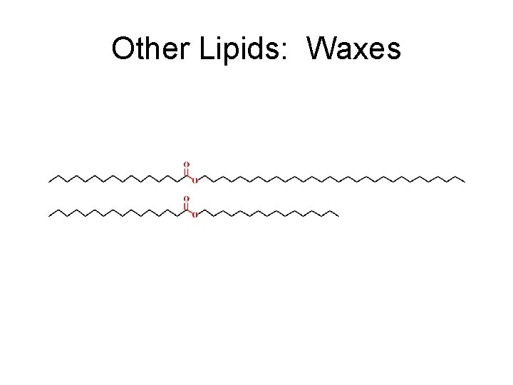 Other Lipids: Waxes 