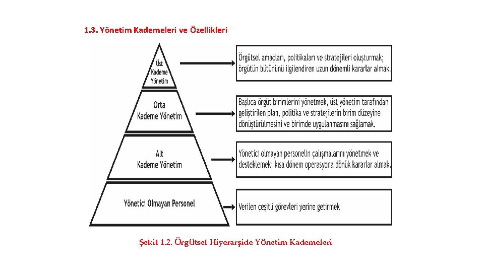 1. 3. Yönetim Kademeleri ve Özellikleri Şekil 1. 2. Örgütsel Hiyerarşide Yönetim Kademeleri 