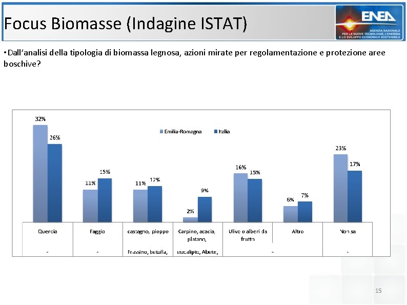 Focus Biomasse (Indagine ISTAT) • Dall’analisi della tipologia di biomassa legnosa, azioni mirate per