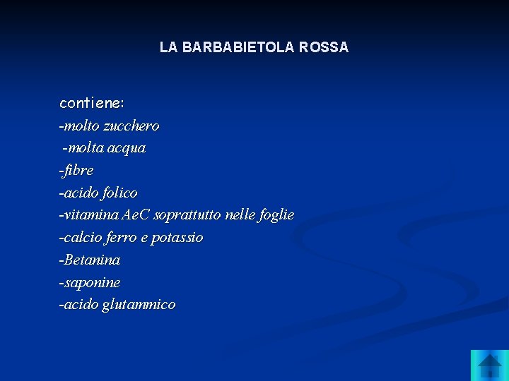 LA BARBABIETOLA ROSSA contiene: -molto zucchero -molta acqua -fibre -acido folico -vitamina Ae. C