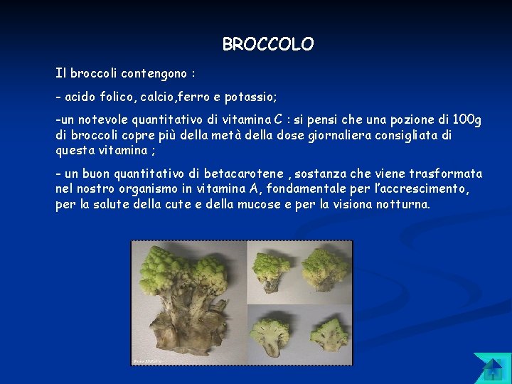 BROCCOLO Il broccoli contengono : - acido folico, calcio, ferro e potassio; -un notevole