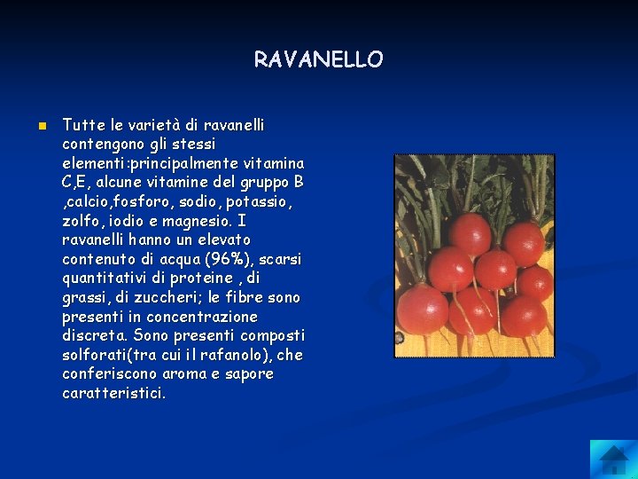 RAVANELLO n Tutte le varietà di ravanelli contengono gli stessi elementi: principalmente vitamina C,