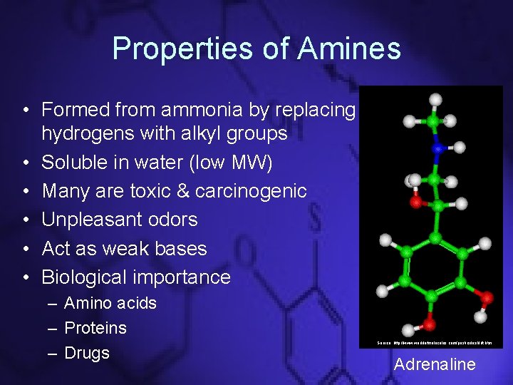 Properties of Amines • Formed from ammonia by replacing hydrogens with alkyl groups •