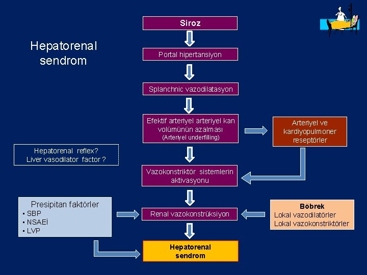 Siroz Hepatorenal sendrom Portal hipertansiyon Splanchnic vazodilatasyon Efektif arteriyel kan volümünün azalması (Arteriyel underfilling)