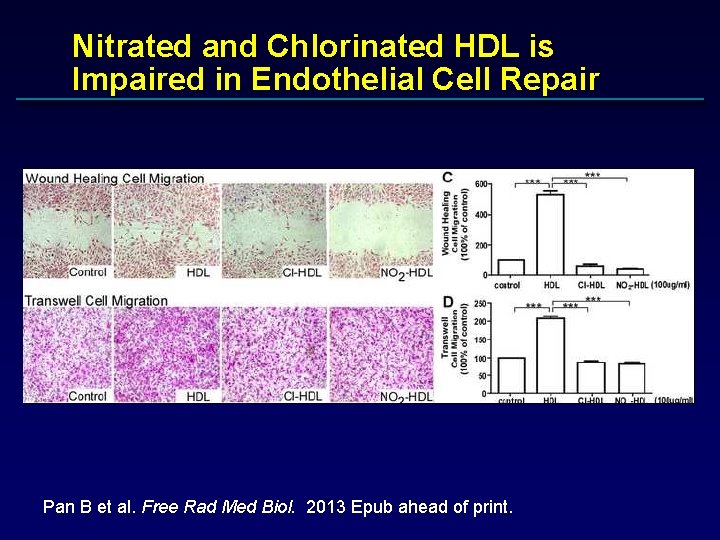 Nitrated and Chlorinated HDL is Impaired in Endothelial Cell Repair Pan B et al.