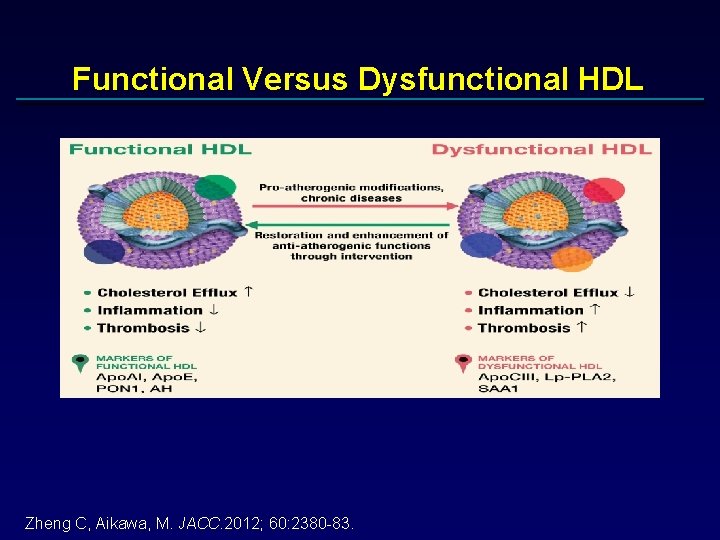 Functional Versus Dysfunctional HDL § Functional Versus Dysfunctional HDL Zheng C, Aikawa, M. JACC.