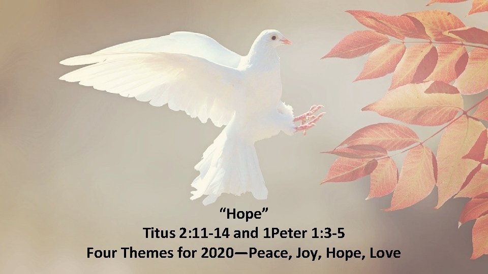 “Hope” Titus 2: 11 -14 and 1 Peter 1: 3 -5 Four Themes for