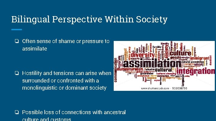 Bilingual Perspective Within Society ❏ Often sense of shame or pressure to assimilate ❏