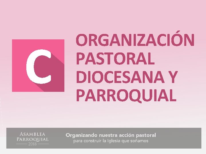 ORGANIZACIÓN PASTORAL DIOCESANA Y PARROQUIAL 