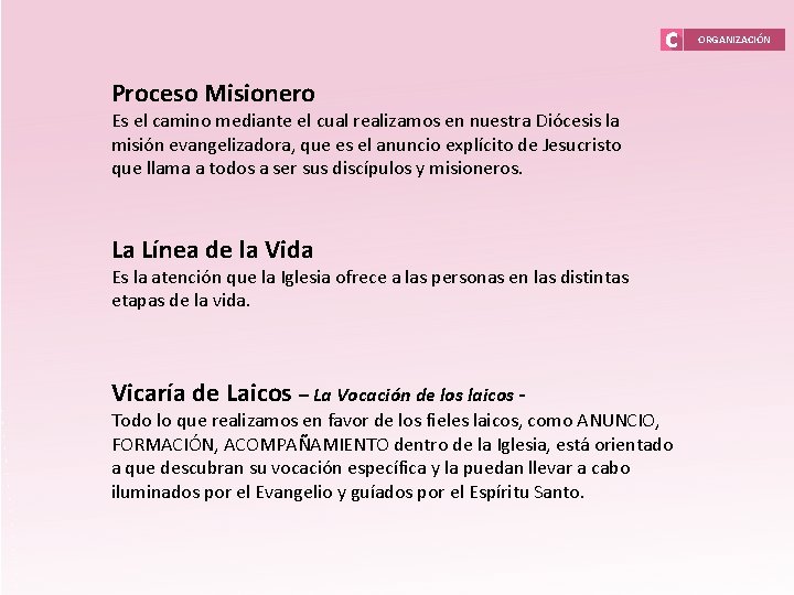 ORGANIZACIÓN Proceso Misionero Es el camino mediante el cual realizamos en nuestra Diócesis la