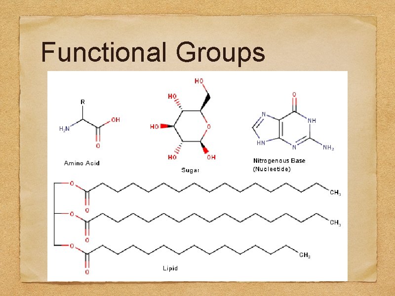 Functional Groups 