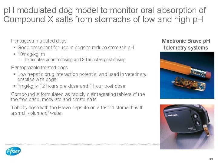 p. H modulated dog model to monitor oral absorption of Compound X salts from