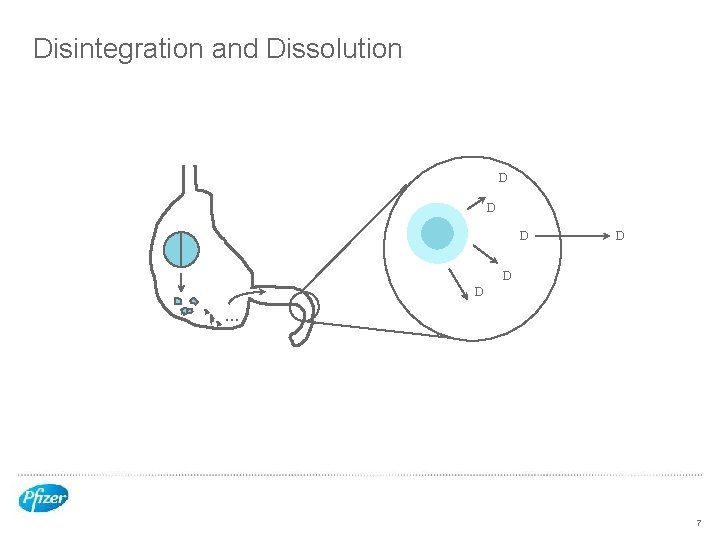 Disintegration and Dissolution D D D . . . 7 