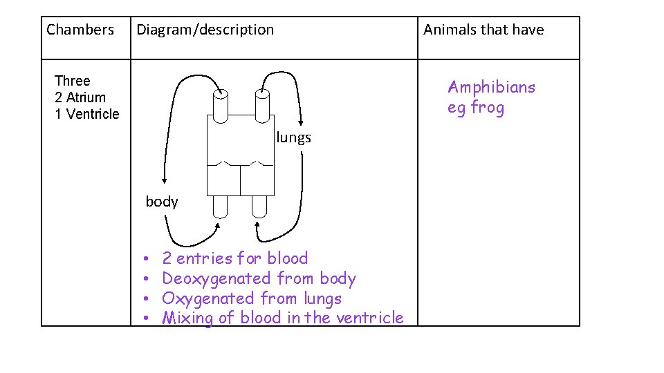 Chambers Diagram/description Animals that have Three 2 Atrium 1 Ventricle Amphibians eg frog lungs