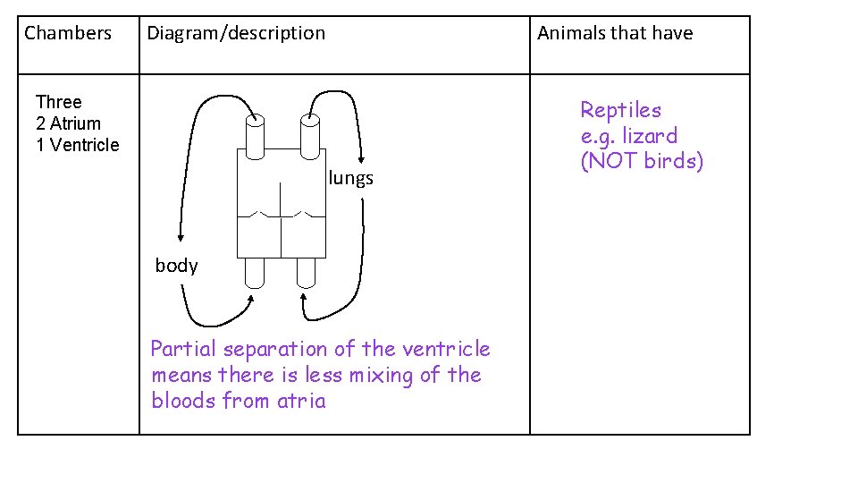 Chambers Diagram/description Animals that have Three 2 Atrium 1 Ventricle lungs body Partial separation