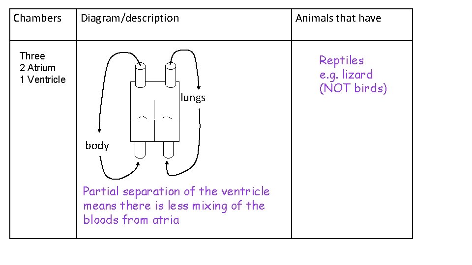 Chambers Diagram/description Animals that have Three 2 Atrium 1 Ventricle lungs body Partial separation Chambers Diagram/description Animals that have Three 2 Atrium 1 Ventricle lungs body Partial separation